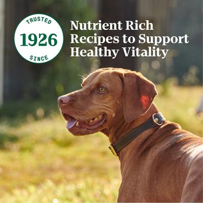 Show full view: Nutro Grain-Free Simmered Beef Stew & Savory Lamb Stew Cuts in Gravy Variety Pack Adult Wet Dog Food Trays, 3.5-oz, case of 12 slide 6 of 11