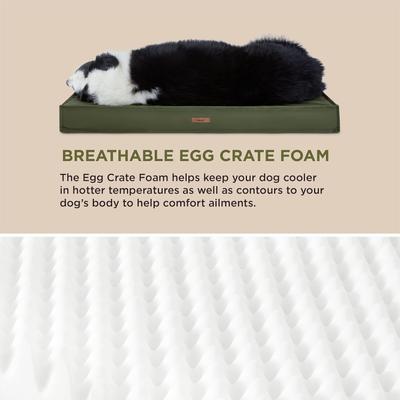 Show full view: Lesure Indoor & Outdoor Waterproof Orthopedic Dog Bed with Removable Cover, Olive Green, Large slide 3 of 8