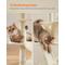 Show in main carousel: FEANDREA 66.1-in Plush Cat Tree, Beige slide 5 of 8
