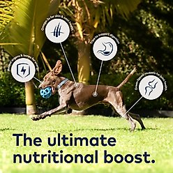 ZIWI Peak Variety Pack Adult Grain-Free Beef, Lamb Pate Canned Food, 6-oz can, case of 6 + Variety Pack Adult Grain-Free Beef, Chicken Pate Canned Dog Food, 6-oz can, case of 6 slide 2 of 9