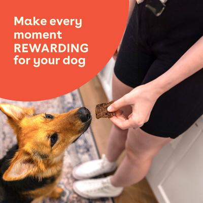 Show full view: Pupford Steak Strips Beef Limited Ingredient Jerky Dog Treats, 2.5-oz bag slide 6 of 9