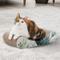 Show in main carousel: Necoichi Premium Comfort Curved Cat Lounger, Go Green, Medium slide 1 of 8