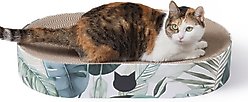 Necoichi Cozy Bowl Capsule Cat Scratcher Toy, Go Green