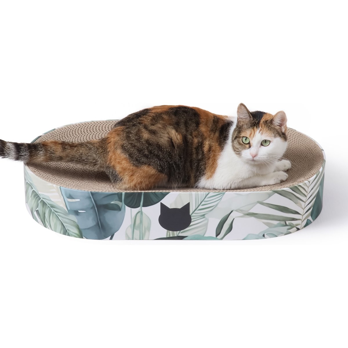 Necoichi Cozy Bowl Capsule Cat Scratcher Toy, Go Green