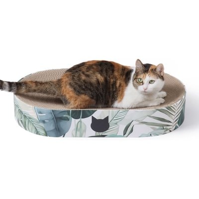 Necoichi Necoichi Cozy Bowl Capsule Cat Scratcher Toy, Go Green