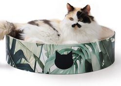 Necoichi Cozy Cat Scratcher Bowl Toy, Go Green, X-Large