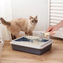 Ownpets Iron Metal Cat Litter Scoop with Eucalyptus Wood Handle, Large slide 2 of 8