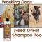 Show in main carousel: Zone Protects Pets Working Dog Shampoo, Leather Cream Scent, 16-fl oz bottle slide 3 of 5