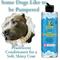 Show in main carousel: Zone Protects Pets Pearl Hydrating Pet Shampoo, Vanilla Orchid, 16-fl oz bottle slide 5 of 5