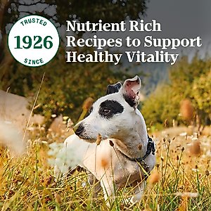 Nutro Natural Choice Senior Small Breed Chicken & Brown Rice Recipe Dry Dog Food, 5-lb bag