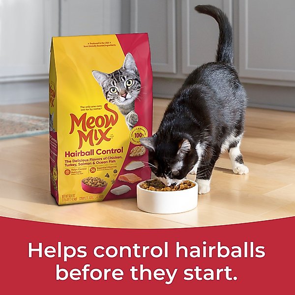 Meow Mix Hairball Control Dry Cat Food
