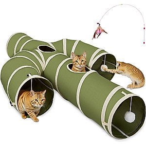 Ownpets Cactus Tunnel Cat Toy, Green, Medium