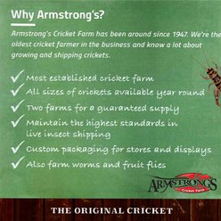 Armstrong's Cricket Farm Giant Mealworms, 100 count slide 2 of 5