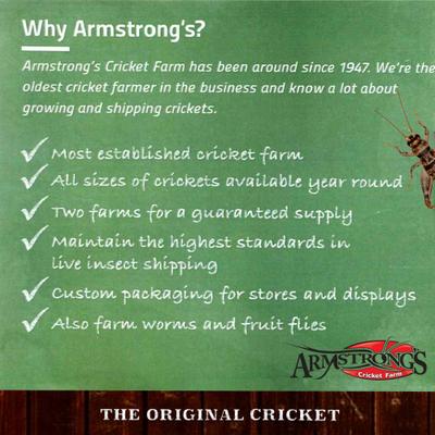 Show full view: Armstrong's Cricket Farm Superworms Reptile Food, 100 count slide 6 of 6