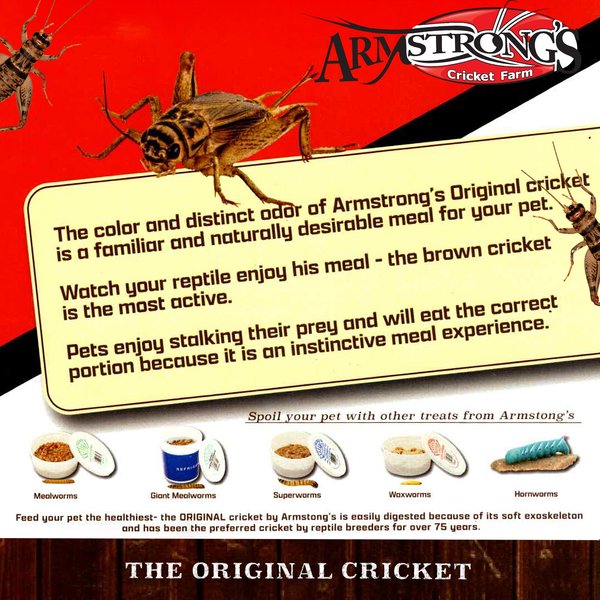Armstrong's Cricket Farm Superworms Reptile Food