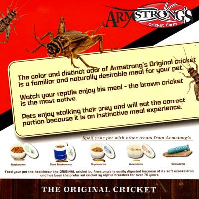 Show full view: Armstrong's Cricket Farm Superworms Reptile Food, 100 count slide 5 of 6