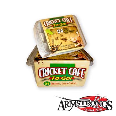 Show full view: Armstrong's Cricket Farm 2 Week Old Crickets Pre Cup, 24 count slide 1 of 6
