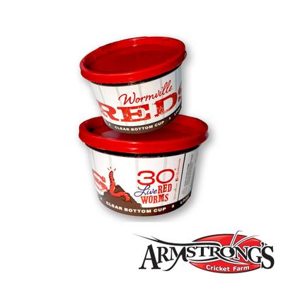 Show full view: Armstrong's Cricket Farm Big Red Worms, 30 count slide 2 of 4