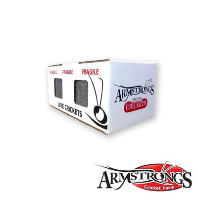 Show full view: Armstrong's Cricket Farm Superworms Reptile Food, 100 count slide 2 of 6