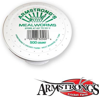 Show full view: Armstrong's Cricket Farm Mealworms, 500 count slide 2 of 5