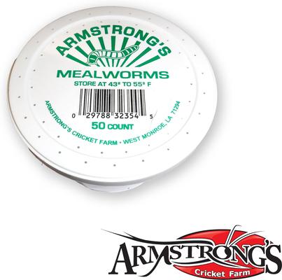 Show full view: Armstrong's Cricket Farm Mealworms, 50 count slide 2 of 5