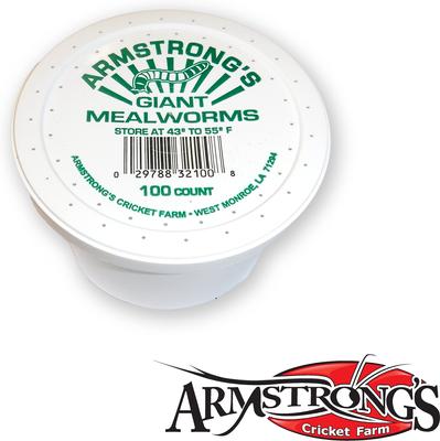 Show full view: Armstrong's Cricket Farm Giant Mealworms, 100 count slide 2 of 5