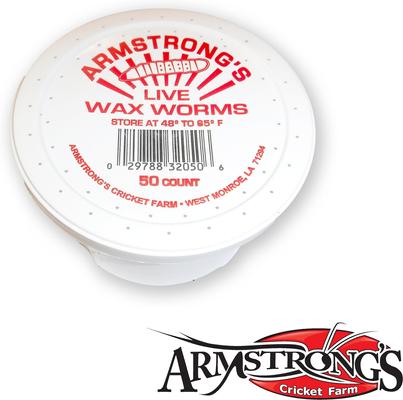 Show full view: Armstrong's Cricket Farm Waxworms, 50 count slide 2 of 8