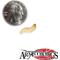 Show in main carousel: Armstrong's Cricket Farm Waxworms, 50 count slide 1 of 8