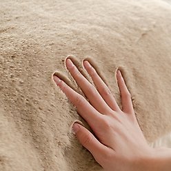 Allisandro Extra Soft Faux Fur Pillow Dog Bed with Removable Cover, Khaki, Large slide 2 of 7