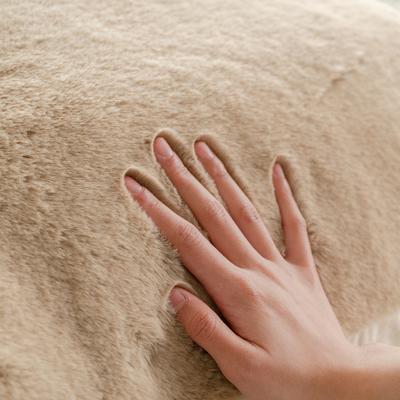 Show full view: Allisandro Extra Soft Faux Fur Pillow Dog Bed with Removable Cover, Khaki, Medium slide 6 of 7