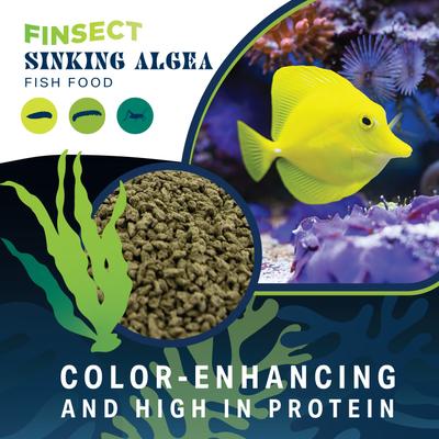 Show full view: Finsect Sinking Algae Fish Food, 3-oz slide 7 of 8