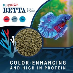Finsect Betta Fish Food, 1-oz