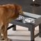 Show in main carousel: HANAMYA Elevated Dog Bowls with Adjustable Legs, Black, 6-cup slide 2 of 6