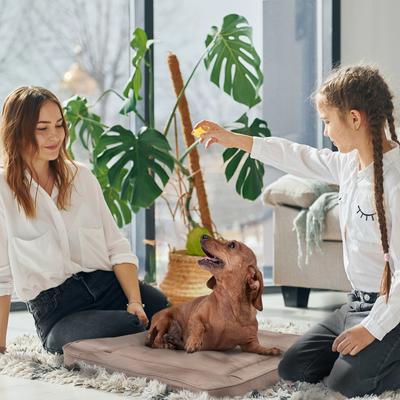 Show full view: Precious Tails Orthopedic Cat & Dog Bed Crate Mat, Mocha, Large slide 6 of 9