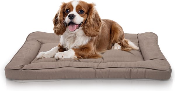 Show full view: Precious Tails Orthopedic Cat & Dog Bed Crate Mat, Mocha, Large slide 1 of 9