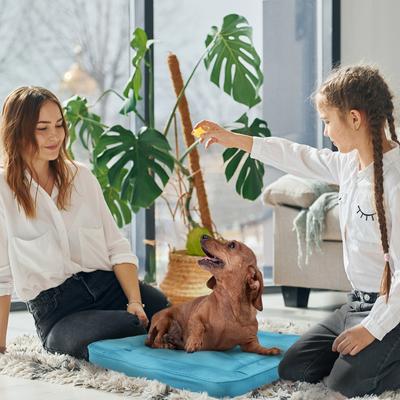 Show full view: Precious Tails Orthopedic Cat & Dog Bed Crate Mat, Teal, Small slide 7 of 9