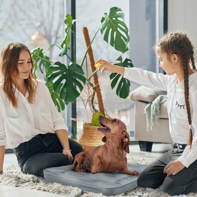 Show full view: Precious Tails Orthopedic Cat & Dog Bed Crate Mat, Gray, Small slide 6 of 9