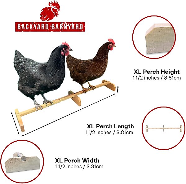 Show full view: Backyard Barnyard Extra Large Chicken Bird Perch slide 4 of 9