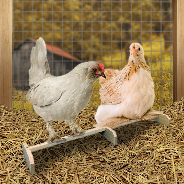 Show full view: Backyard Barnyard Extra Large Chicken Bird Perch slide 5 of 9
