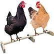 Show in main carousel: Backyard Barnyard Extra Large Chicken Bird Perch slide 3 of 9