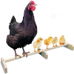 Backyard Barnyard Extra Large Chicken Bird Perch