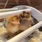 Show in main carousel: Backyard Barnyard Nesting Chick Perch, 4 count slide 6 of 9