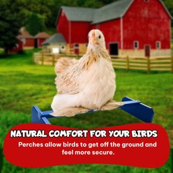 Backyard Barnyard Chicken Perch, Blue slide 2 of 8