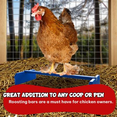 Show full view: Backyard Barnyard Chicken Perch, Blue slide 8 of 8