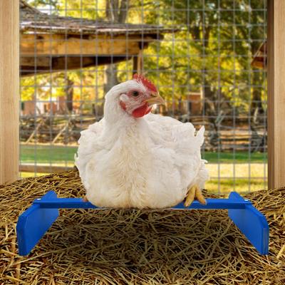 Show full view: Backyard Barnyard Chicken Perch, Blue slide 4 of 8