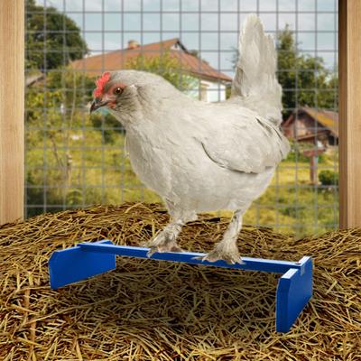 Show full view: Backyard Barnyard Chicken Perch, Blue slide 5 of 8