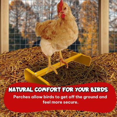 Show full view: Backyard Barnyard Chicken Perch, Yellow slide 8 of 9