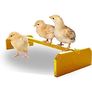 Backyard Barnyard Chicken Perch, Yellow