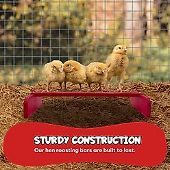 Backyard Barnyard Chicken Perch, Red slide 2 of 9