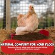 Show in main carousel: Backyard Barnyard Chicken Perch, Red slide 8 of 9